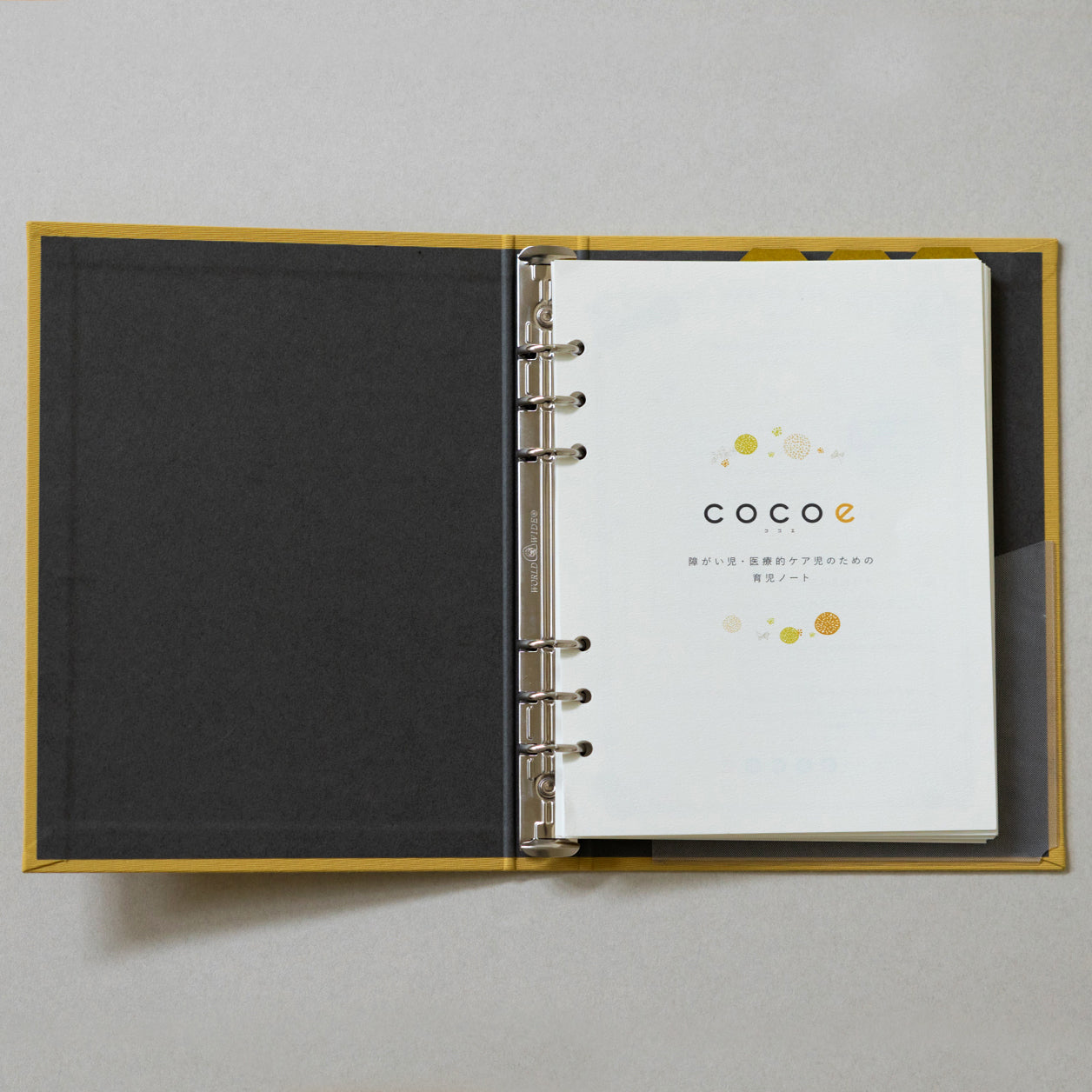 フルセット］cocoeノート