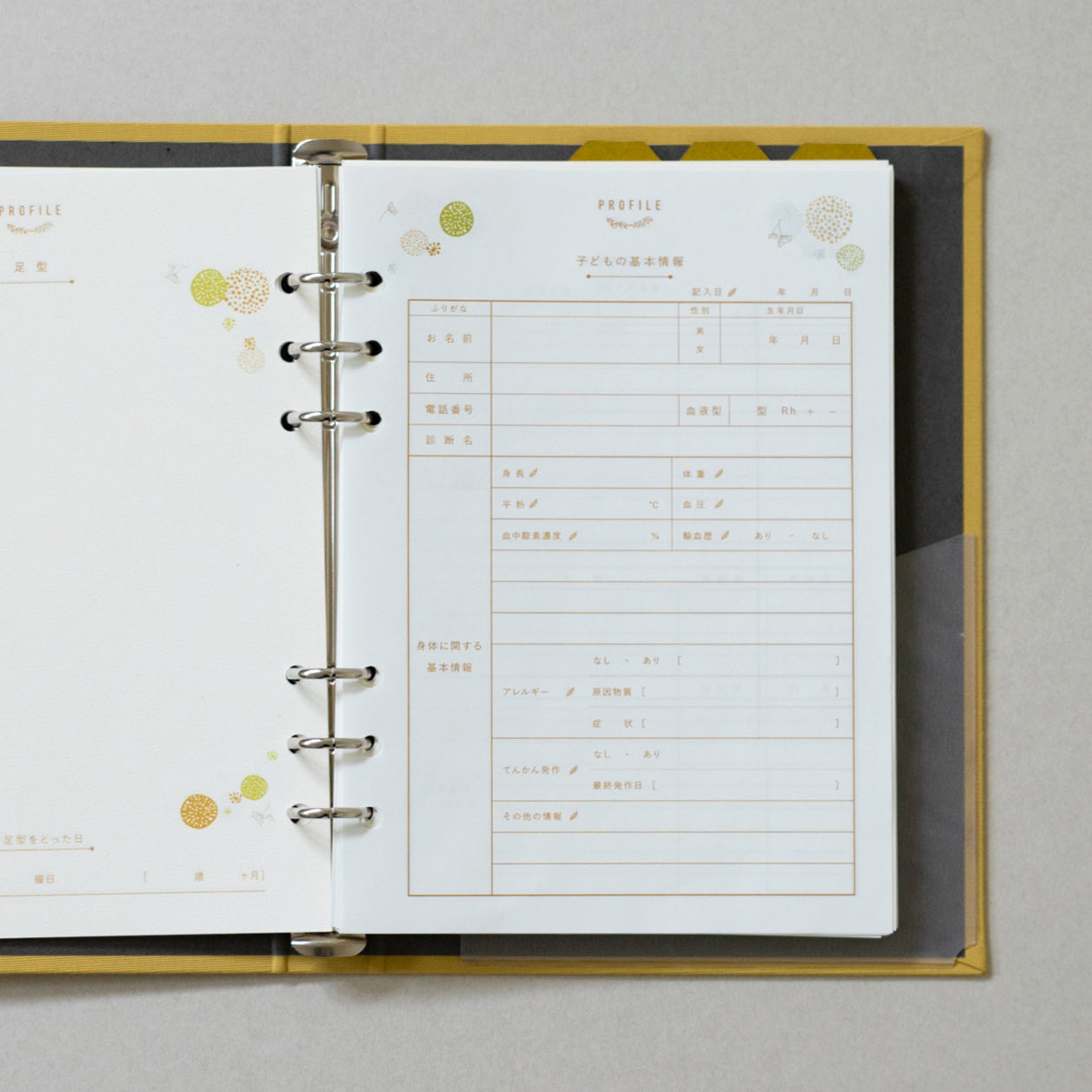 フルセット］cocoeノート